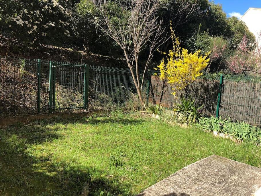 Appartement Dans Quartier Calme Avec Petit Jardin Montpellier Exterior photo